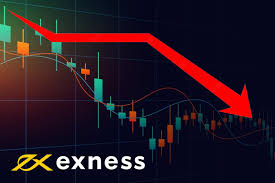 Master Your Trading with the Exness Pip Value Calculator